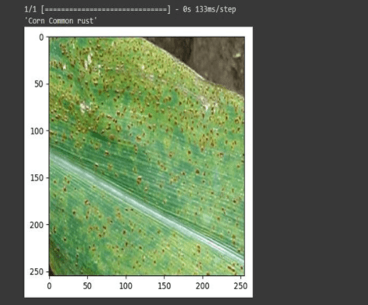 Plant Disease Detection